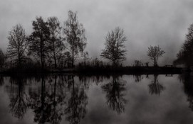 See im Nebel rechts.JPG