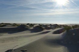 Dünen.JPG