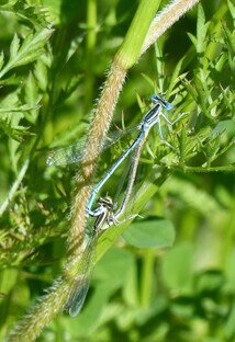 10--0010030-6.jpg
