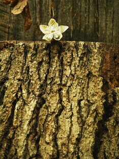 013 - 62 Papierblume_2.JPG